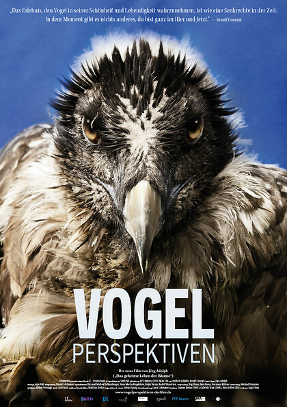 Kinostart: Vogelperspektiven